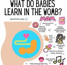 what do babies learn in the womb? info poster for mother's day celebration