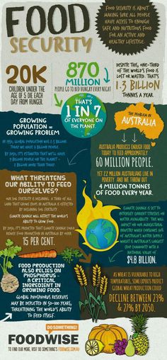 the food security info sheet is shown with information about what to eat and how to use it