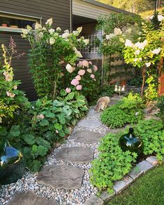 a garden with flowers and rocks in it