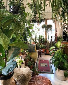 a living room filled with lots of plants