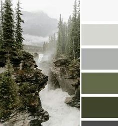 the color palette is green, gray and white with some trees in it on the side