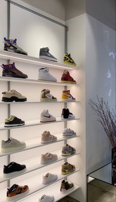 there are many pairs of shoes on the shelves