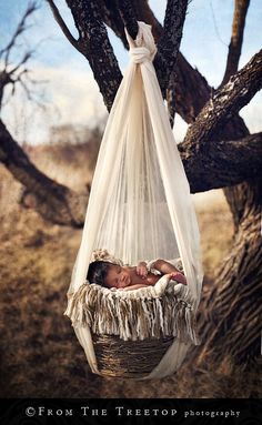 a baby is laying in a hammock hanging from a tree with no leaves