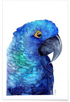 a watercolor painting of a blue and green parrot with yellow eyes on a white background