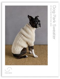 a small dog wearing a sweater sitting on top of a rug in front of a gray wall