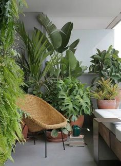 a room filled with lots of potted plants