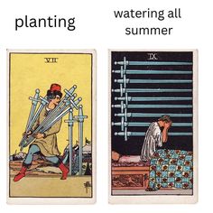 two tarot cards with the words planting and watering all summer