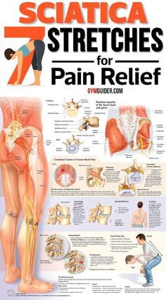 Nerve Pain Remedies, Inner Knee Pain, Referred Pain, Back Stretches For Pain