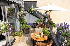 an outdoor patio with wicker furniture and potted plants