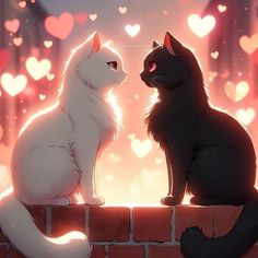 two cats sitting on top of a brick wall with hearts in the sky behind them