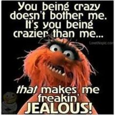 the muppet from sesame's movie is featured in this funny quote about being crazy