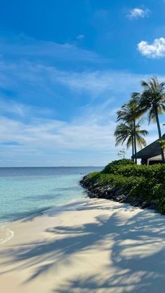 the beach is lined with palm trees and white sand