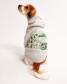 a dog wearing a hoodie and sitting on the floor