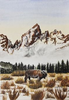 a watercolor painting of a bison in front of a snowy mountain range with pine trees