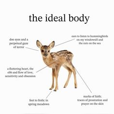 an animal labeled with the names of its body and features in it's description