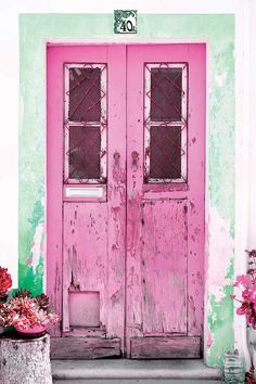 an old pink door with two glass panes in front of it and flowers on the steps