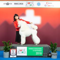 a woman holding a white poodle on top of a blue carpet next to two potted plants