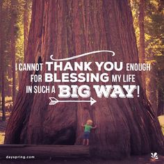 a little boy standing in front of a big tree with the words i cannot't thank you enough for blessing my life in such a big way