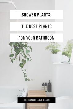 a bathroom with white walls and plants in the bathtub text reads, shower plants the best plants for your bathroom