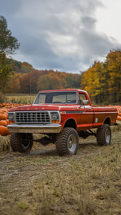 A red vintage Ford F-250 truck parked in a pumpkin patch. The truck has large off-road tires and a lifted suspension. The background shows a field of pumpkins and colorful autumn trees. Vintage Trucks Aesthetic, Vintage Truck Aesthetic, Vintage Ford Truck Aesthetic, Kids Vehicles, Old Truck Aesthetic, Fall Old Truck Photography, Pretty Trucks, Adventure Photoshoot, Ford Highboy