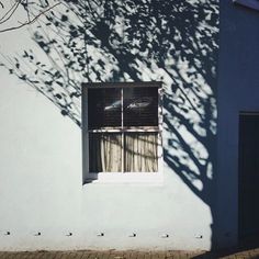 the shadow of a tree is cast on a building's wall and window sill