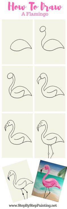 how to draw a flamingo step by step instructions for kids with pictures on it