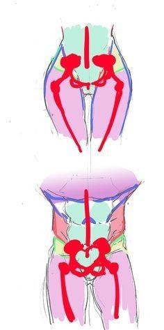 an image of a woman's stomach with red lines on the side and bottom