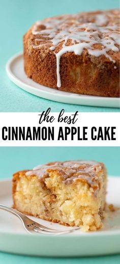 the best cinnamon apple cake recipe ever