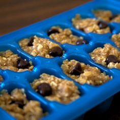 blue tray filled with muffins and chocolate chips