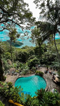 an outdoor swimming pool surrounded by trees and plants