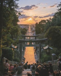 a group of people standing in front of a gate at the top of a hill