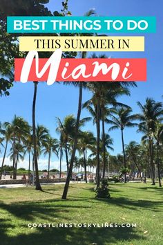 palm trees with the words best things to do this summer in miami