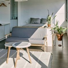 a living room filled with furniture and plants