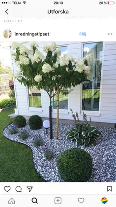 an image of a house with flowers in the front yard