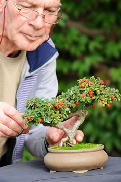 an old man is holding a bonsai tree in his hand and looking at it