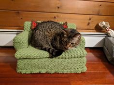 a cat sitting on top of a green chair