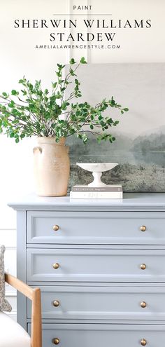 a blue dresser with a potted plant on top