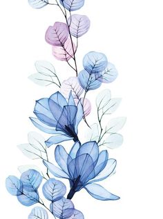 blue and purple flowers on a white background