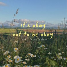 a field with daisies and the words it's okay not to be okay