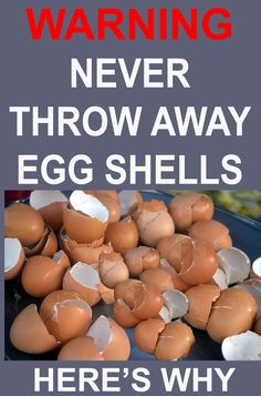 Never Throw Away Egg shells, Here's Why Egg shells are a great source of Calcium which is great for...... Vegetable Garden Fertilizer, Pioneer Skills, How To Grow Lemon, Grow Avocado, Garden Remedies, Potted Plants Outdoor, Greenhouse Ideas, Backyard Gardening, Fall Garden Vegetables