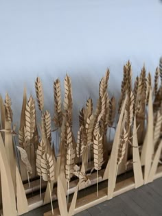 there are many stalks of wheat on the shelf next to each other in front of a bed