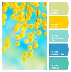 the color scheme is blue, yellow and green with white flowers on it's branches