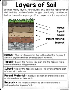 layers of soil worksheet with answers and examples for students to use in the classroom