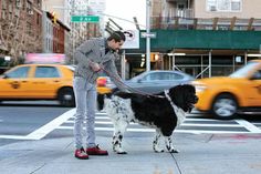 a man is walking his dog across the street