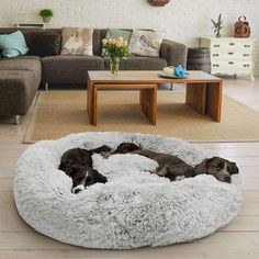 two dogs sleeping in a dog bed on the floor next to a couch and coffee table