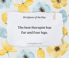 a piece of paper that says pet quote of the day the best therapist has fur and four legs