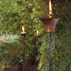 two candles are lit in the middle of a garden