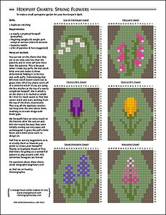 cross stitch chart with four different types of flowers in each row and the text, hexflit chats spring flowers