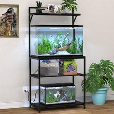 a fish tank sitting on top of a metal shelf next to a potted plant