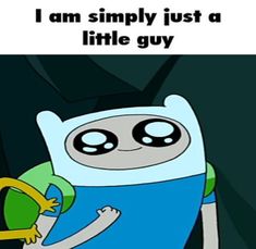 an image of finn from adventure time with text that reads, i am simply just a little guy